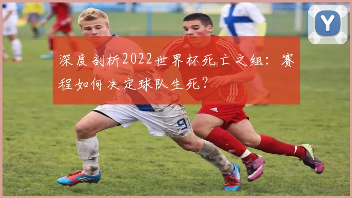 深度剖析2022世界杯死亡之组：赛程如何决定球队生死？