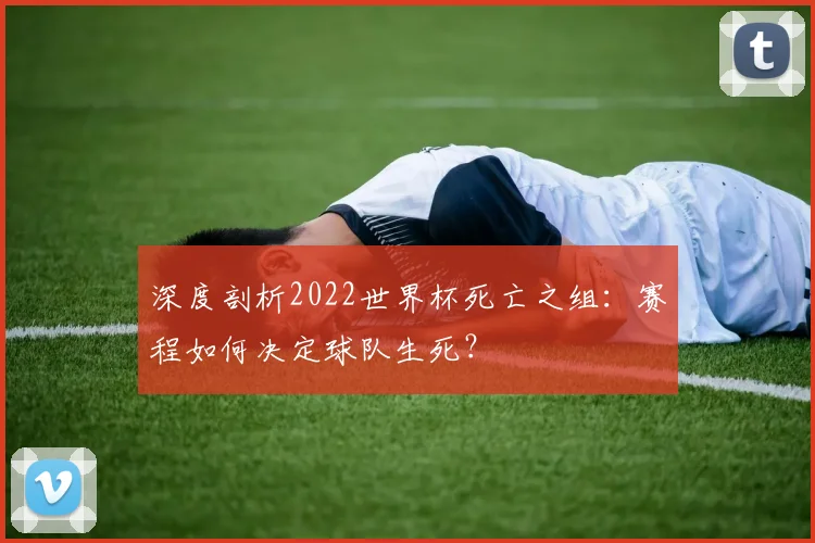 深度剖析2022世界杯死亡之组：赛程如何决定球队生死？