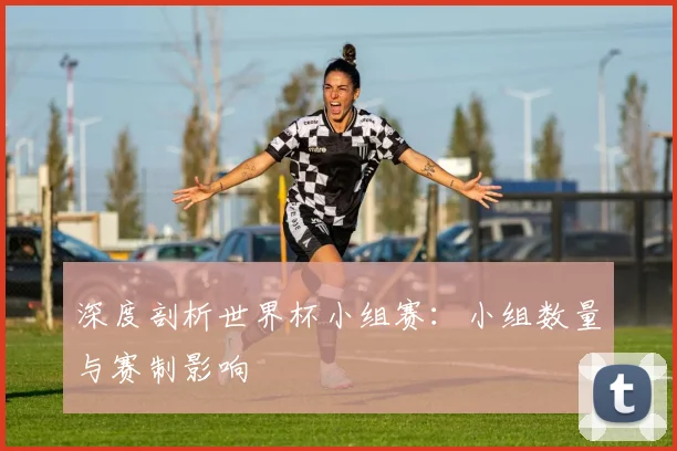 深度剖析世界杯小组赛：小组数量与赛制影响