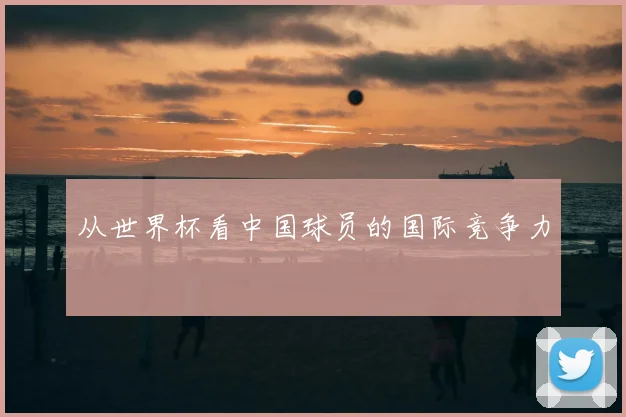 从世界杯看中国球员的国际竞争力