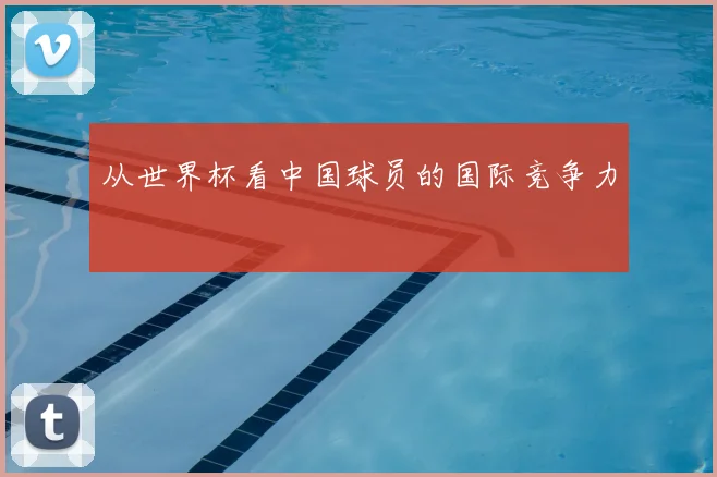 从世界杯看中国球员的国际竞争力
