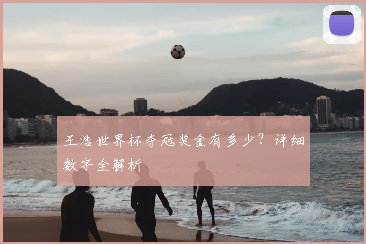 王浩世界杯夺冠奖金有多少？详细数字全解析