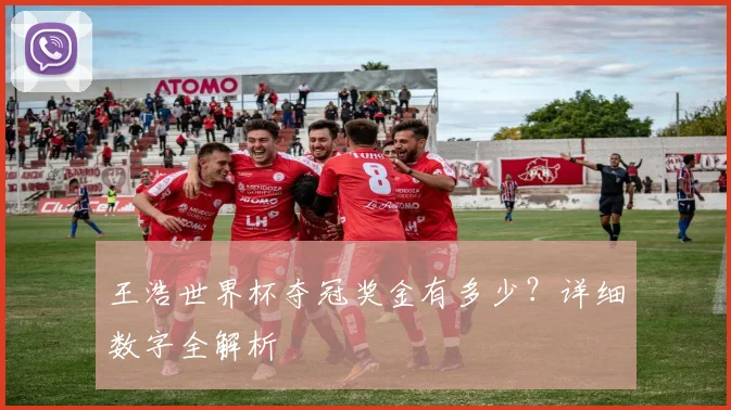 王浩世界杯夺冠奖金有多少?详细数字全解析