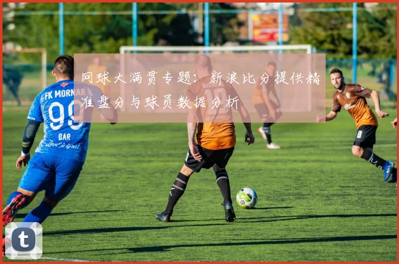 网球大满贯专题：新浪比分提供精准盘分与球员数据分析