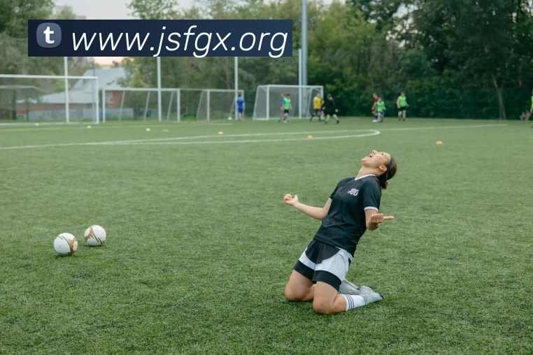 开云app在线入口全站App